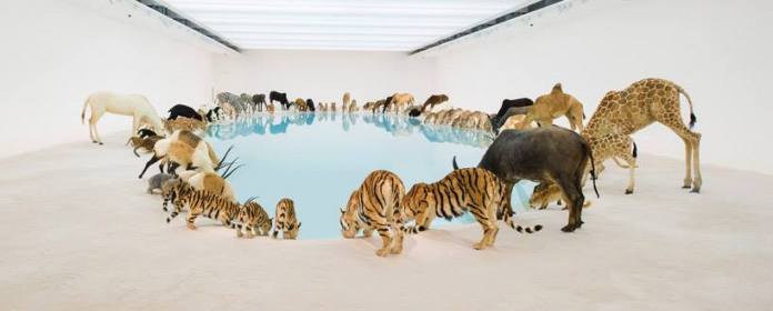 11173363_10153280388124314_5489722830298707904_n