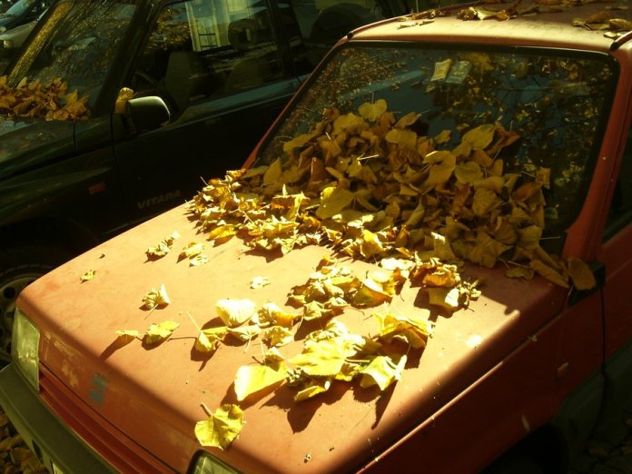 la_double_vie_de_veronique_by_lemon_killer-d31tm13